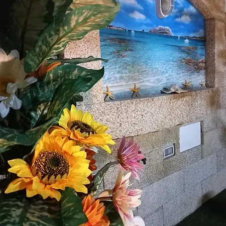 Zia Mia 4* 奧爾比亞