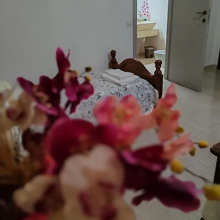 Guest house Zia Mia