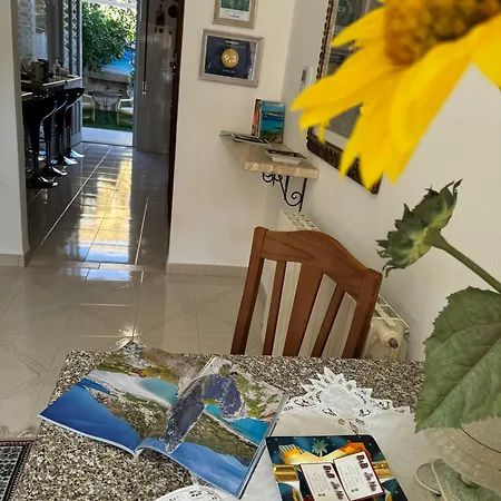 Zia Mia 奧爾比亞