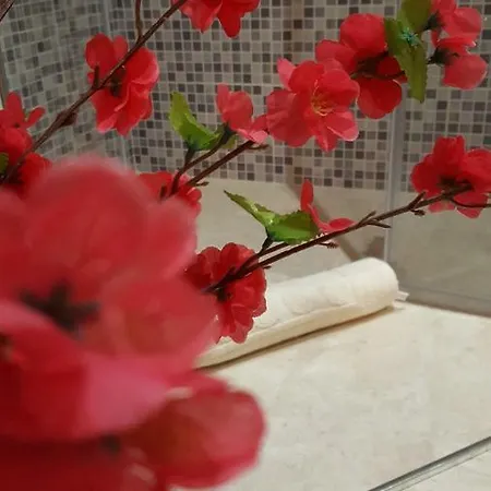 Zia Mia Guest house Olbia