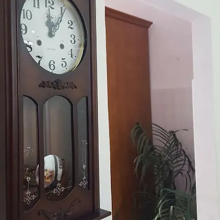 招待所 Zia Mia 奧爾比亞