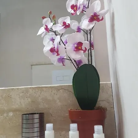 Zia Mia 4* 奧爾比亞