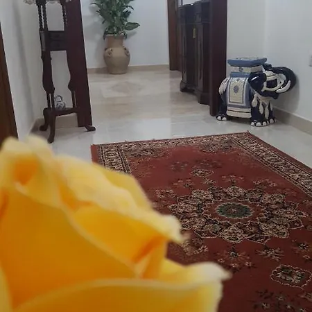 Zia Mia 4* 奧爾比亞