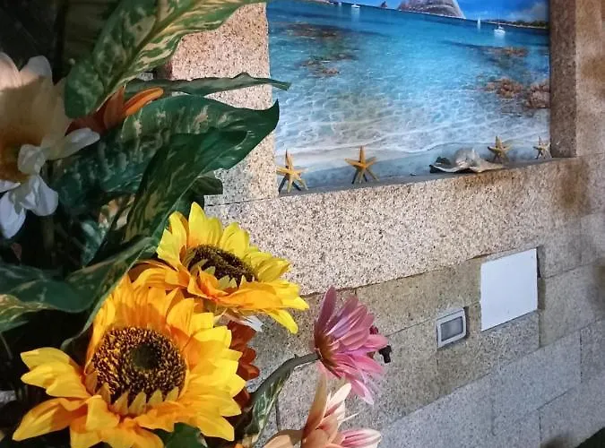 Zia Mia 4* Olbia