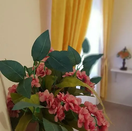 Zia Mia Guest house 4*