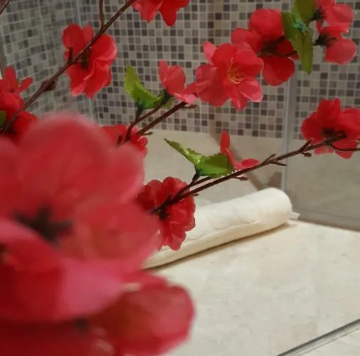 Zia Mia Guest house Olbia